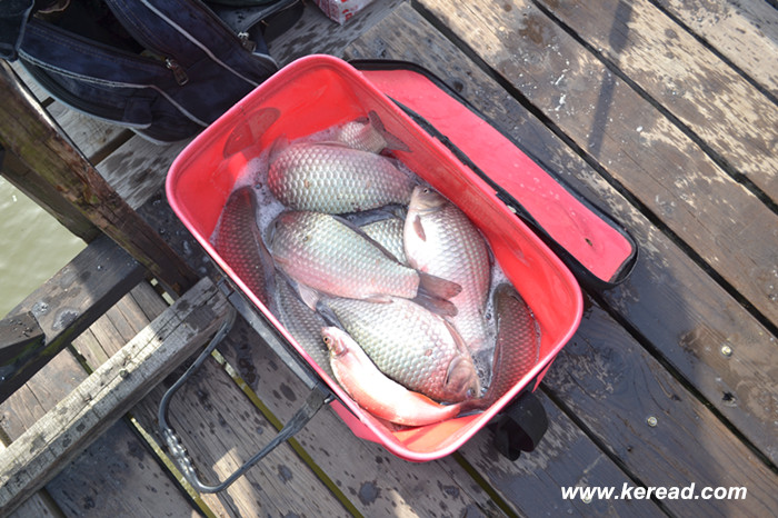 釣魚(yú)戰(zhàn)果